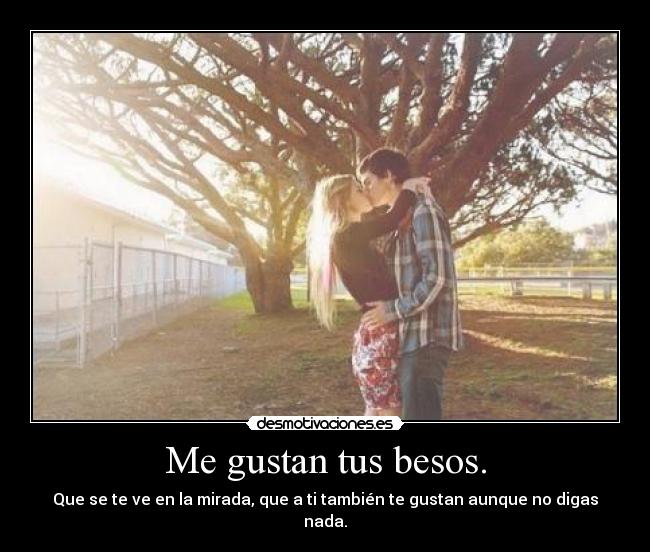 carteles besos mirada 247247 desmotivaciones