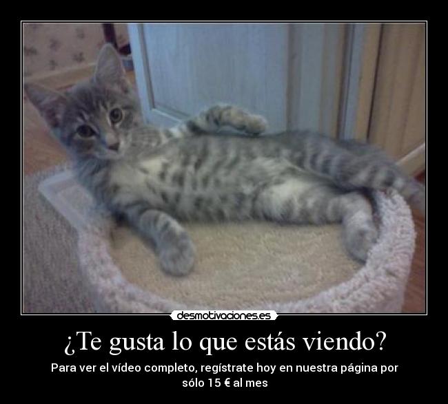 ¿Te gusta lo que estás viendo? - Para ver el vídeo completo, regístrate hoy en nuestra página por sólo 15 € al mes