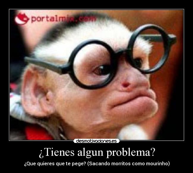 carteles mono chulo desmotivaciones