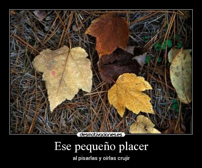 Ese pequeño placer - al pisarlas y oírlas crujir