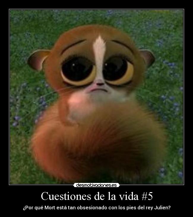 Cuestiones de la vida #5 - ¿Por qué Mort está tan obsesionado con los pies del rey Julien?