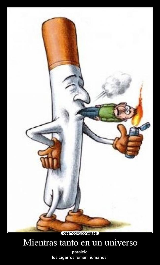 Mientras tanto en un universo -