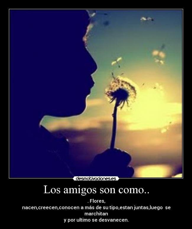 Los amigos son como.. - 