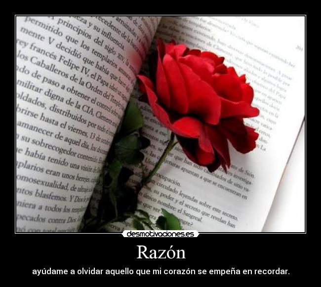 Razón -