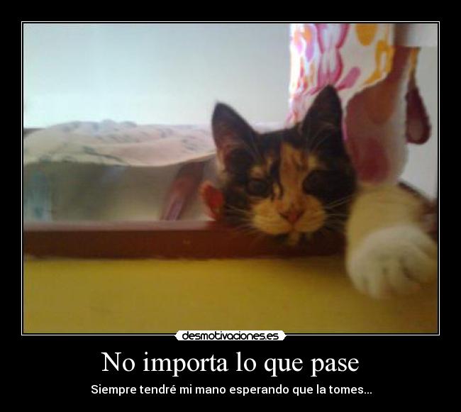 No importa lo que pase - Siempre tendré mi mano esperando que la tomes...