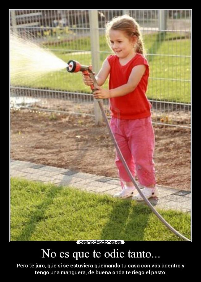 No es que te odie tanto... - 