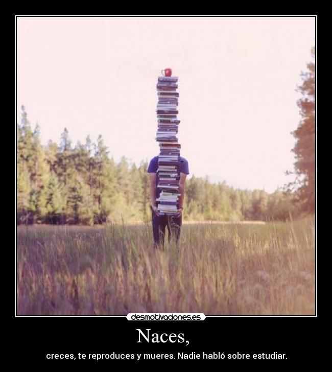 carteles mariasaraycynthia12 desmotivaciones