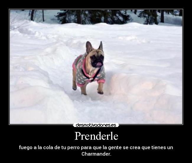 Prenderle -