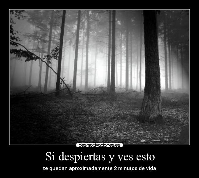 Si despiertas y ves esto - te quedan aproximadamente 2 minutos de vida