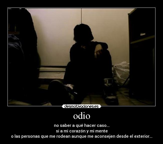 odio - 
