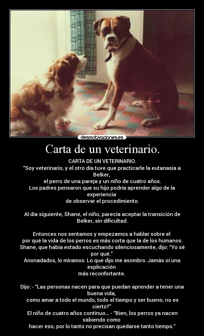 Carta de un veterinario. - CARTA DE UN VETERINARIO.
“Soy veterinario, y el otro día tuve que practicarle la eutanasia a Belker,
el perro de una pareja y un niño de cuatro años.
Los padres pensaron que su hijo podría aprender algo de la experiencia
de observar el procedimiento.
Al día siguiente, Shane, el niño, parecía aceptar la transición de Belker, sin dificultad.
Entonces nos sentamos y empezamos a hablar sobre el
por qué la vida de los perros es más corta que la de los humanos.
Shane, que había estado escuchando silenciosamente, dijo: “Yo sé por qué.”
Anonadados, lo miramos. Lo que dijo me asombro. Jamás oí una explicación
más reconfortante.
Dijo: - “Las personas nacen para que puedan aprender a tener una buena vida,
como amar a todo el mundo, todo el tiempo y ser bueno, no es cierto?”
El niño de cuatro años continuo… - “Bien, los perros ya nacen sabiendo como
hacer eso, por lo tanto no precisan quedarse tanto tiempo.”