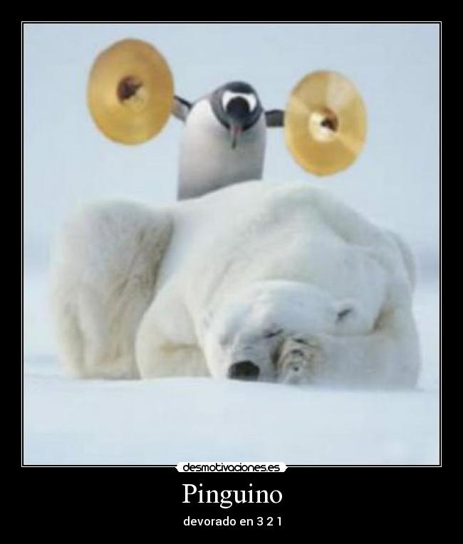 Pinguino - devorado en 3 2 1