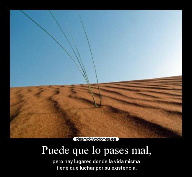 Puede que lo pases mal, -