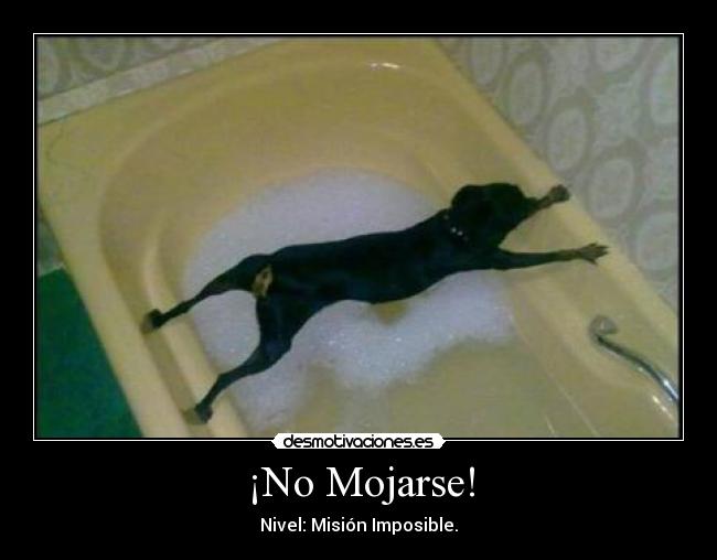 ¡No Mojarse! - Nivel: Misión Imposible.
