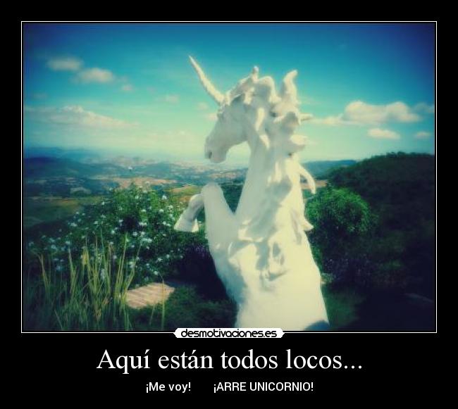 carteles locos unicornio desmotivaciones
