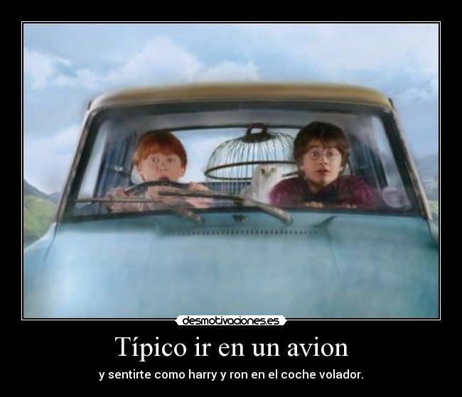 carteles harry potter ron desmotivaciones