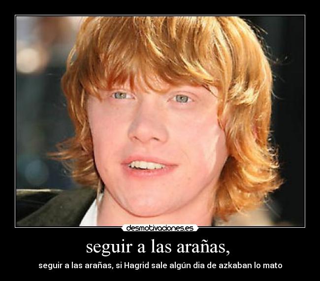 seguir a las arañas, -