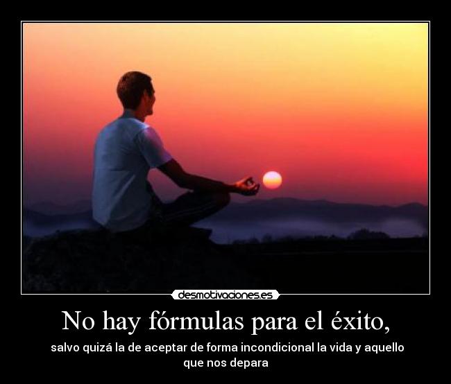 No hay fórmulas para el éxito, - salvo quizá la de aceptar de forma incondicional la vida y aquello que nos depara