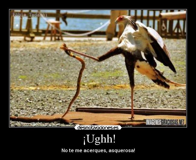 ¡Ughh! -