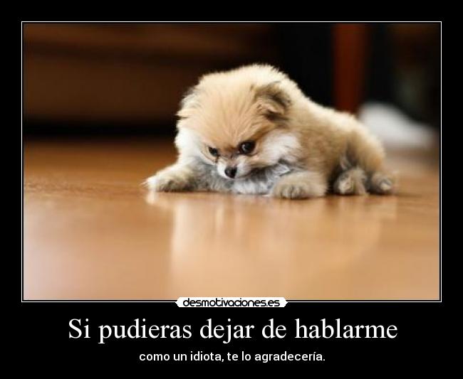 Si pudieras dejar de hablarme -