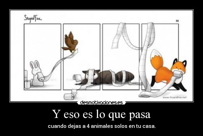 Y eso es lo que pasa -