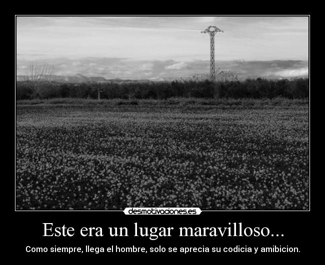 Este era un lugar maravilloso... - Como siempre, llega el hombre, solo se aprecia su codicia y amibicion.