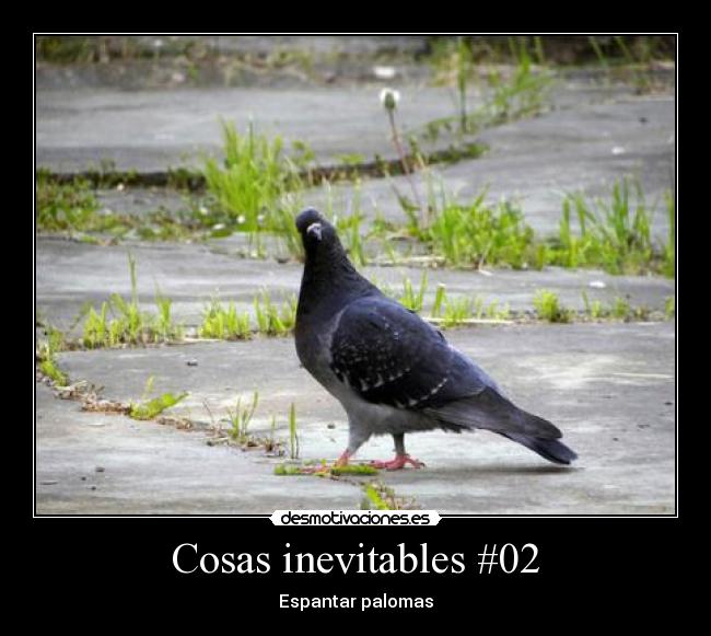 Cosas inevitables #02 - 