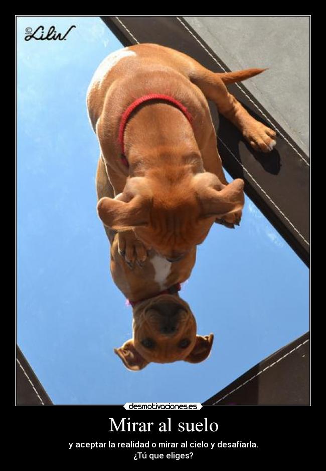 Mirar al suelo -