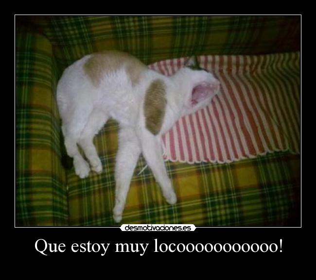 Que estoy muy locooooooooooo! - 