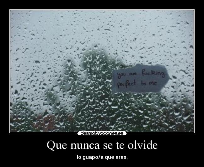 Que nunca se te olvide - lo guapo/a que eres.