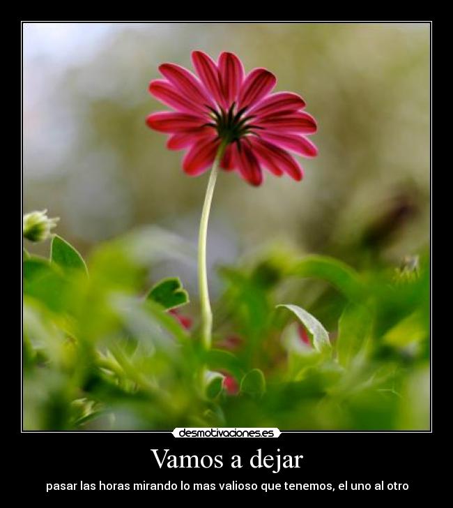 Vamos a dejar - pasar las horas mirando lo mas valioso que tenemos, el uno al otro
