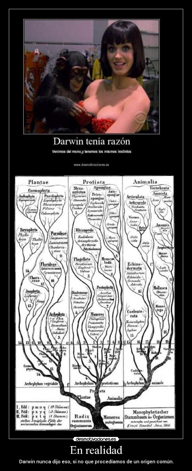 carteles darwin evolucion teoria origen comun desmotivaciones