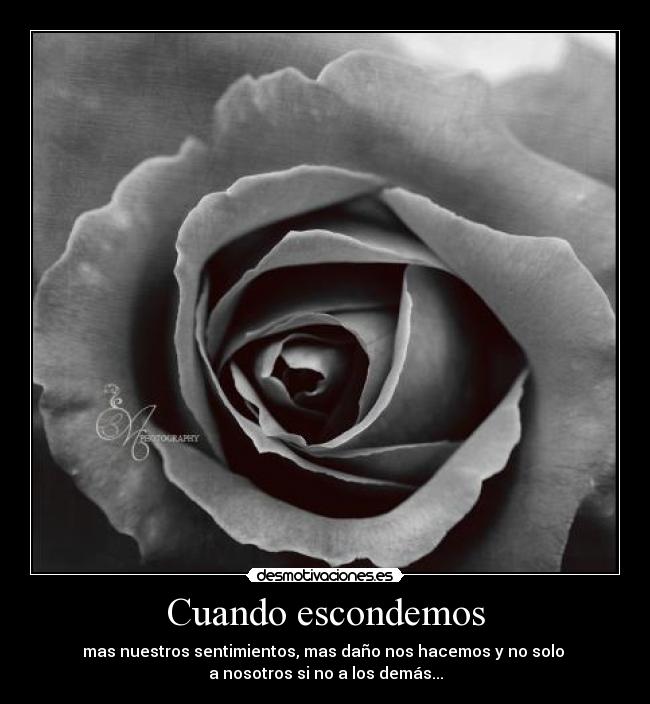 carteles esconder desmotivaciones