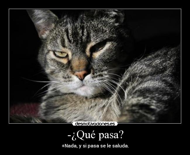-¿Qué pasa? - +Nada, y si pasa se le saluda.
