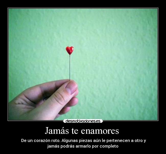carteles jamas enamores desmotivaciones