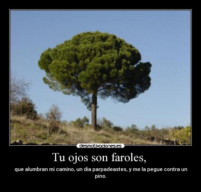 carteles pino ojos parpadear faroles camino dia pegue desmotivaciones