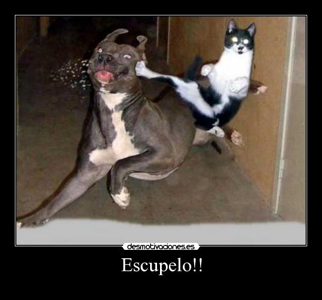 Escupelo!! - 