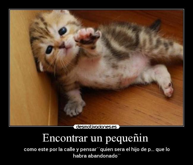 Encontrar un pequeñin -