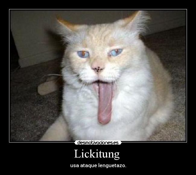 carteles gatospokemon desmotivaciones