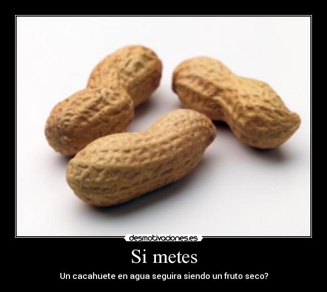 Si metes - Un cacahuete en agua seguira siendo un fruto seco?
