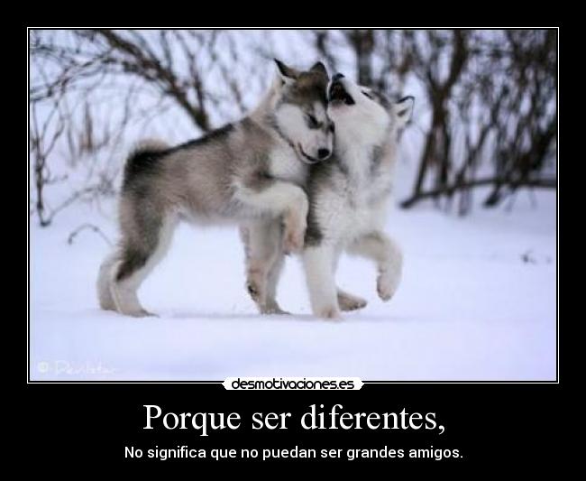 Porque ser diferentes, -