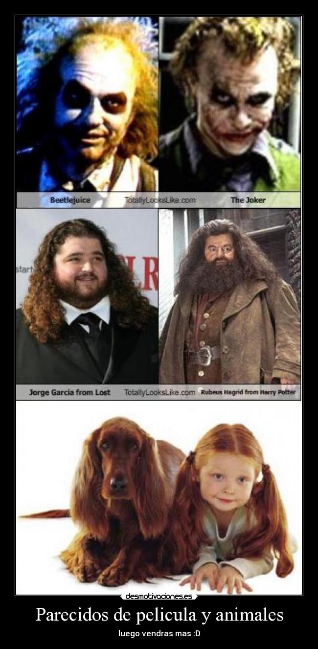 Parecidos de pelicula y animales -