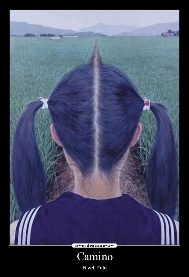 Camino - Nivel: Pelo