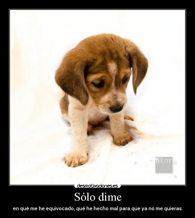 Sólo dime - 