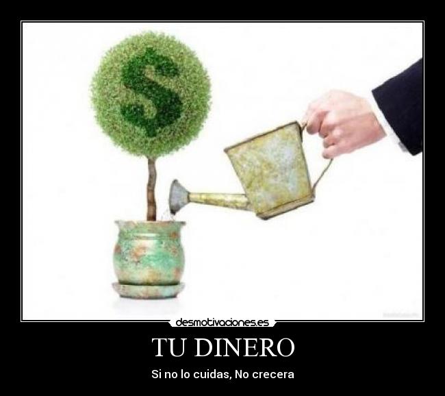 TU DINERO - 