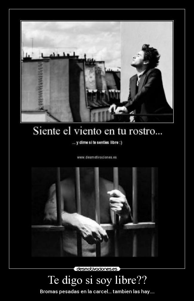 carteles digo soy libre desmotivaciones