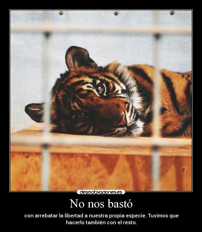 No nos bastó - con arrebatar la libertad a nuestra propia especie. Tuvimos que
hacerlo también con el resto.