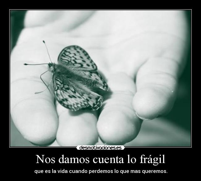 Nos damos cuenta lo frágil - que es la vida cuando perdemos lo que mas queremos.