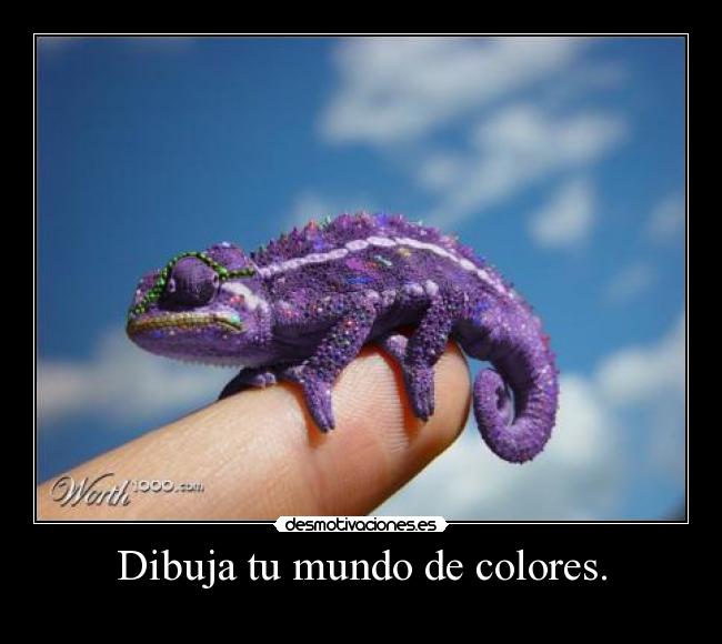 Dibuja tu mundo de colores. -