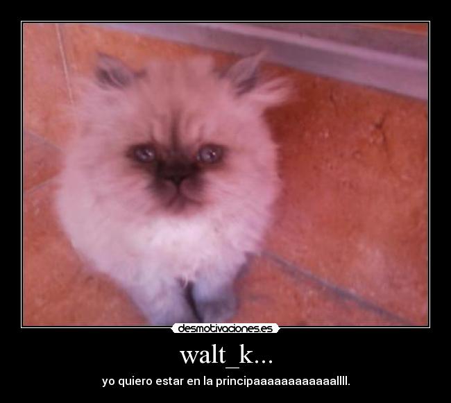 carteles desmotivaciones